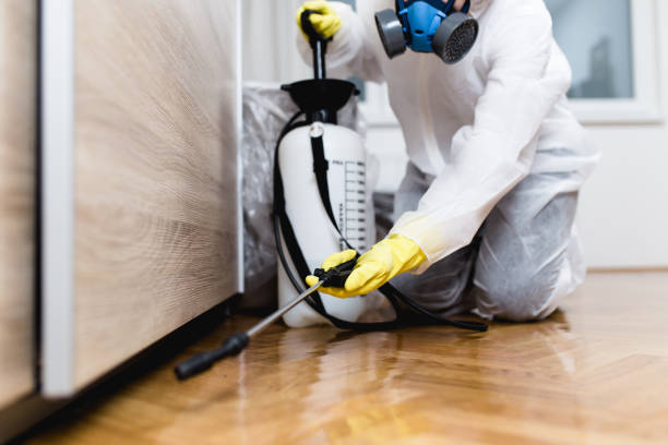 Reliable Palm Bay, FL Pest Control Solutions