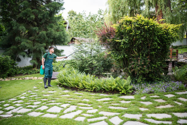 Best Residential Pest Control  in Palm Bay, FL