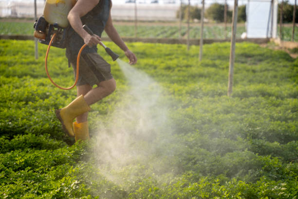 Best Pest Prevention Services  in Palm Bay, FL