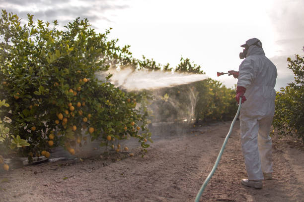 Best Wildlife Control Services  in Palm Bay, FL